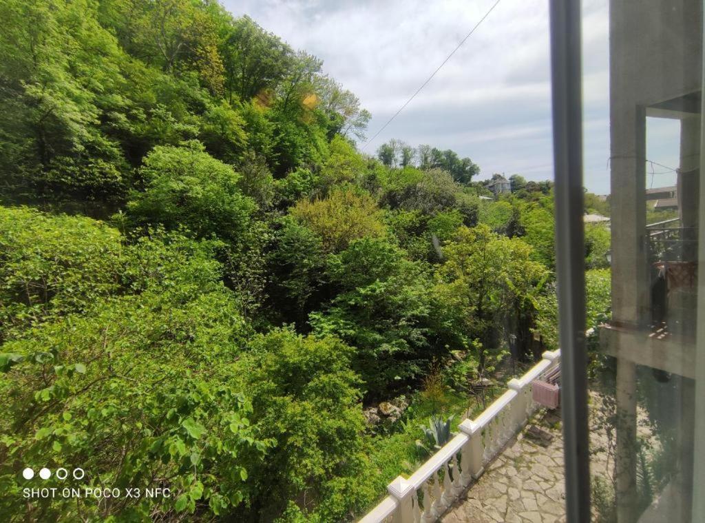 Guest House Chalet Agave 加格拉 外观 照片