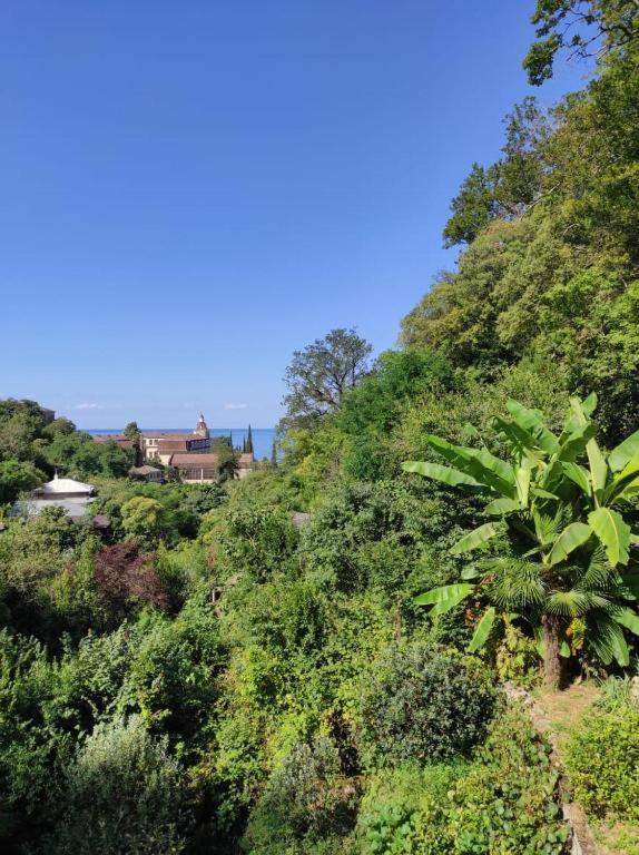 Guest House Chalet Agave 加格拉 外观 照片