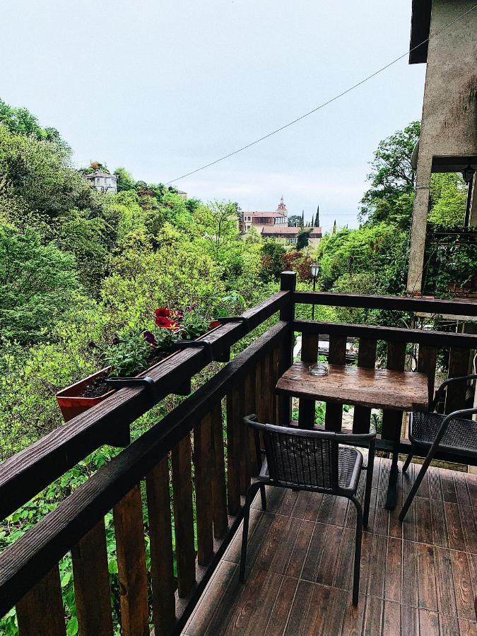 Guest House Chalet Agave 加格拉 外观 照片