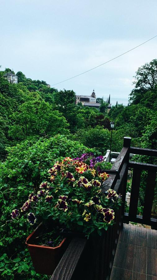 Guest House Chalet Agave 加格拉 外观 照片