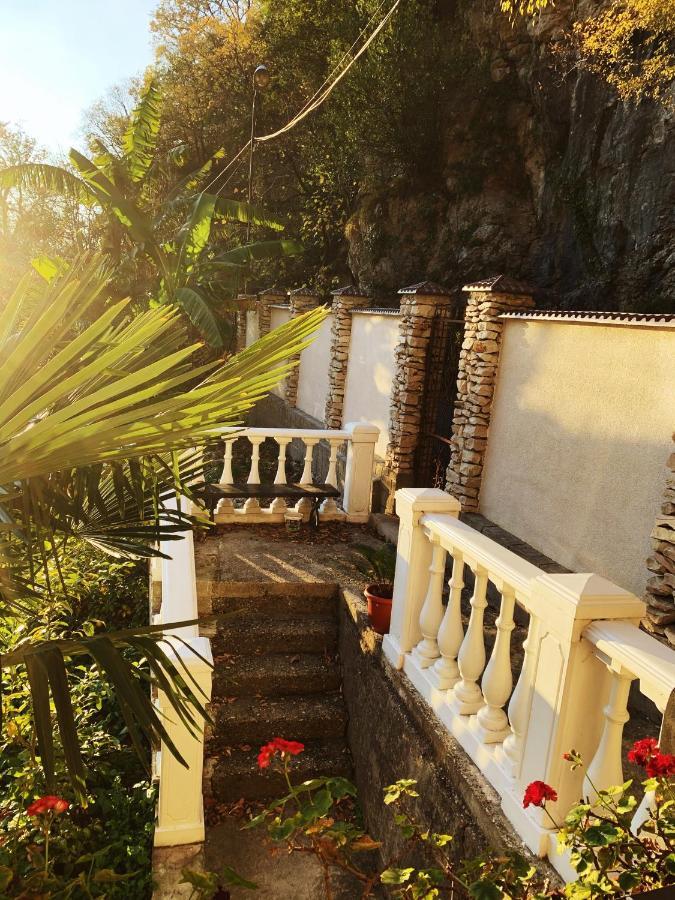 Guest House Chalet Agave 加格拉 外观 照片