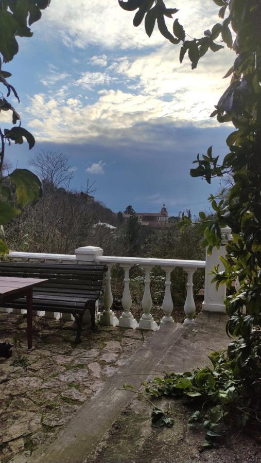 Guest House Chalet Agave 加格拉 外观 照片